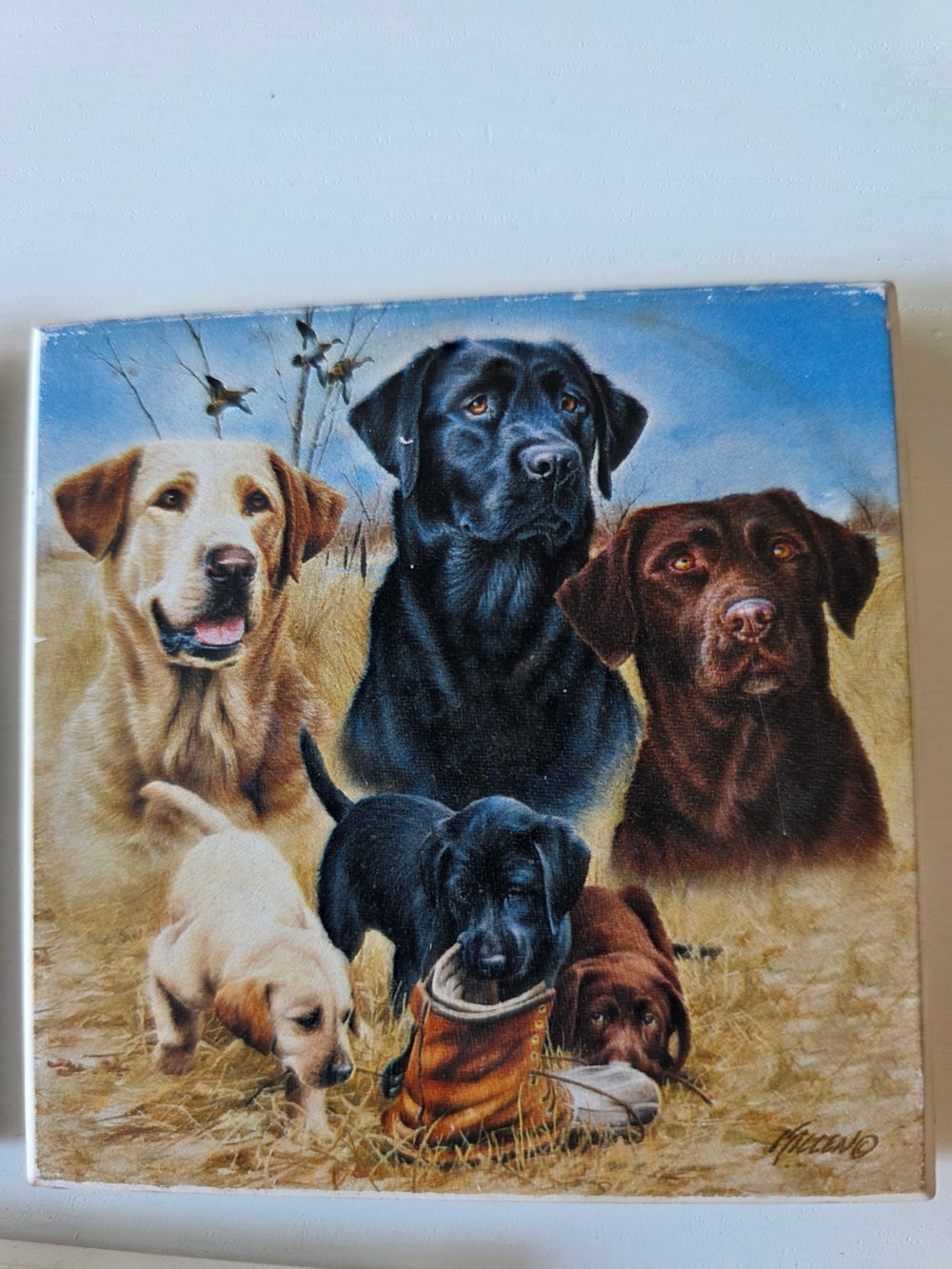 Set of 3 Labrador Retriever Coasters - Yellow, Black, Chocolate - Picture 3 of 5